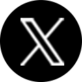 公式X